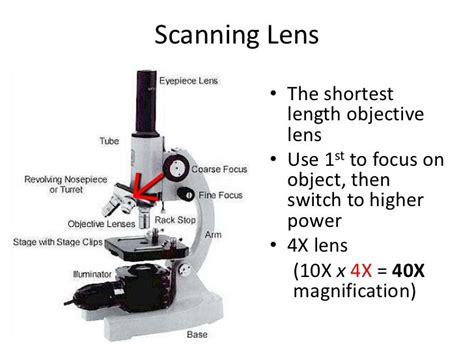 what is the scanning objective on a microscope